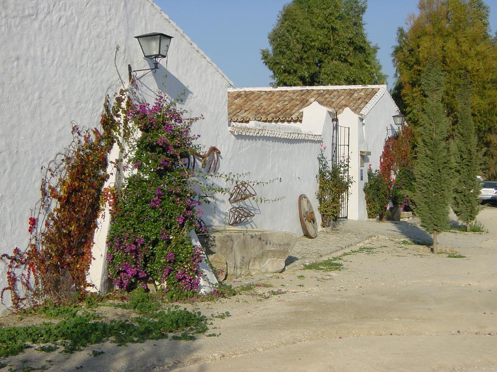 Rural El Horcajo De Ronda 3* Montecorto
